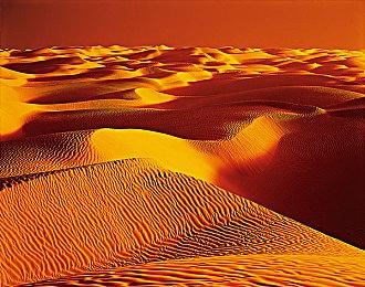 策略战棋游戏《长沼蟾蜍》发售日公布 11月19日发售